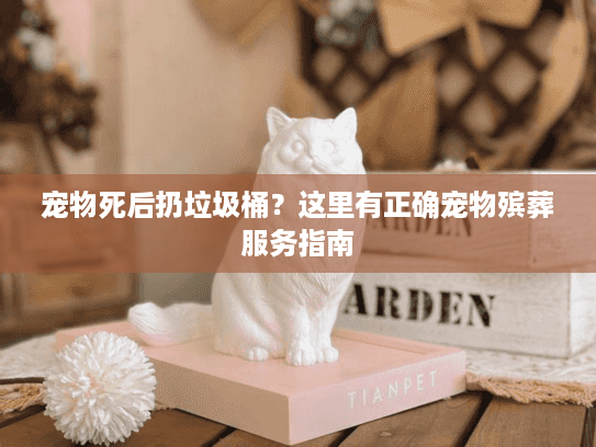 宠物死后扔垃圾桶？这里有正确宠物殡葬服务指南