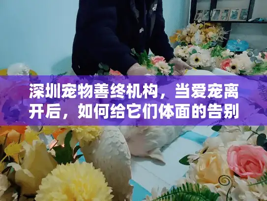 深圳宠物善终机构，当爱宠离开后，如何给它们体面的告别？