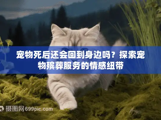宠物死后还会回到身边吗？探索宠物殡葬服务的情感纽带