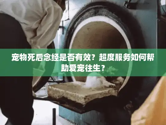 宠物死后念经是否有效？超度服务如何帮助爱宠往生？