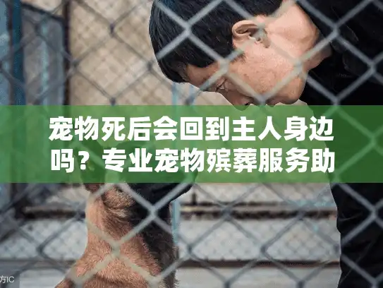 宠物死后会回到主人身边吗?专业宠物殡葬服务助你情感疗愈 宠物死后会回到主人身边吗?专业宠物殡葬服务助你情感疗愈