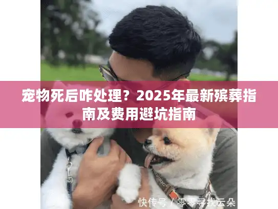 宠物死后咋处理？2025年最新殡葬指南及费用避坑指南