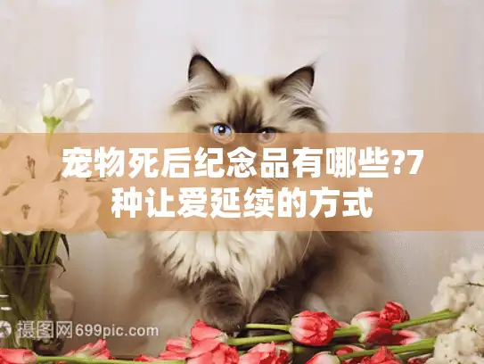 宠物死后纪念品有哪些?7种让爱延续的方式 宠物死后纪念品有哪些?7种让爱延续的方式