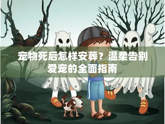 宠物死后怎样安葬？温柔告别爱宠的全面指南