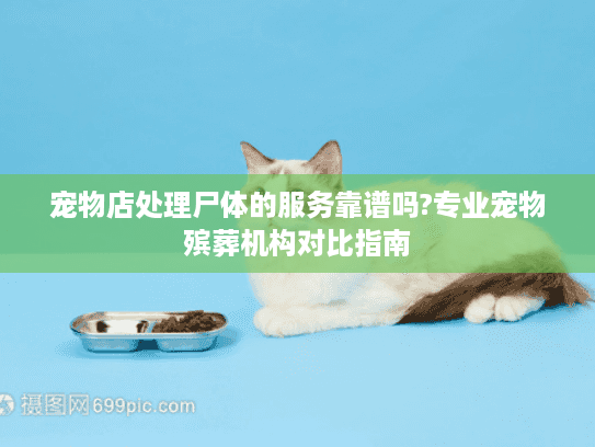 宠物店处理尸体的服务靠谱吗?专业宠物殡葬机构对比指南