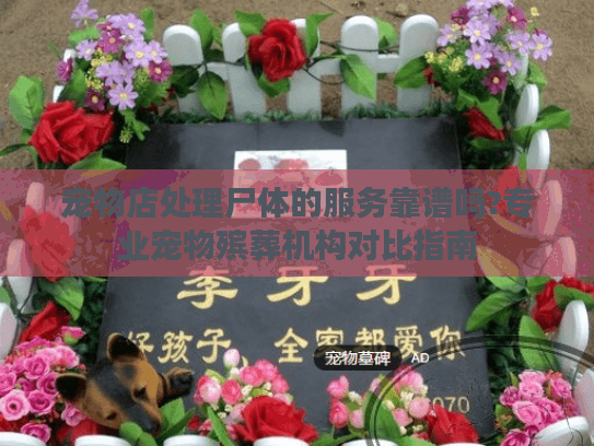 宠物店处理尸体的服务靠谱吗?专业宠物殡葬机构对比指南