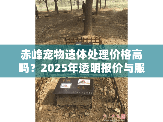 赤峰宠物遗体处理价格高吗？2025年透明报价与服务对比