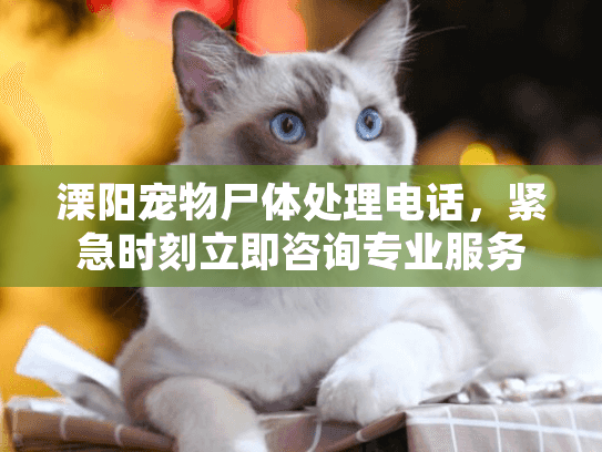 溧阳宠物尸体处理电话，紧急时刻立即咨询专业服务