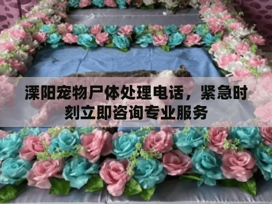 溧阳宠物尸体处理电话，紧急时刻立即咨询专业服务