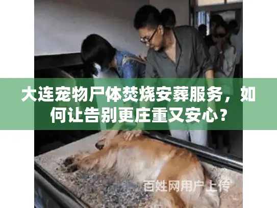 大连宠物尸体焚烧安葬服务,如何让告别更庄重又安心? 大连宠物尸体焚烧安葬服务,如何让告别更庄重又安心?