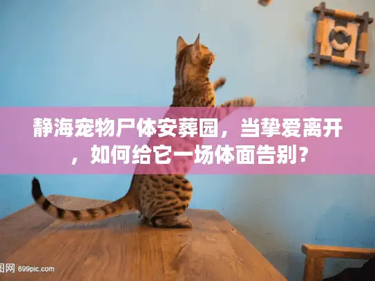 静海宠物尸体安葬园,当挚爱离开,如何给它一场体面告别? 静海宠物尸体安葬园,当挚爱离开,如何给它一场体面告别?