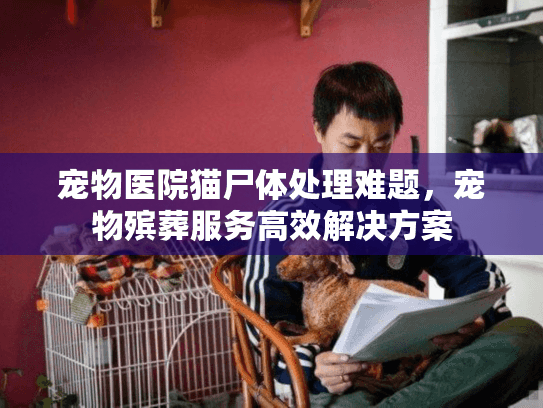 宠物医院猫尸体处理难题，宠物殡葬服务高效解决方案