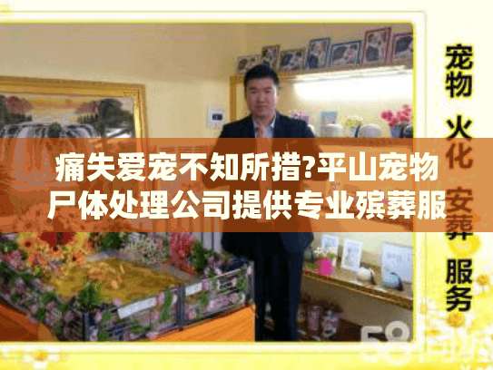 痛失爱宠不知所措?平山宠物尸体处理公司提供专业殡葬服务
