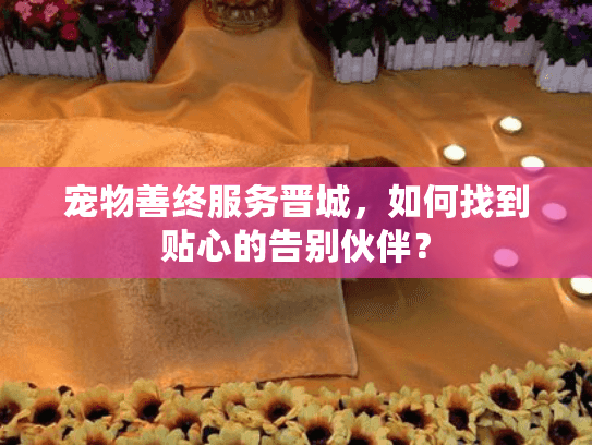 宠物善终服务晋城,如何找到贴心的告别伙伴? 宠物善终服务晋城,如何找到贴心的告别伙伴?