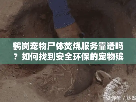 鹤岗宠物尸体焚烧服务靠谱吗？如何找到安全环保的宠物殡葬方式？