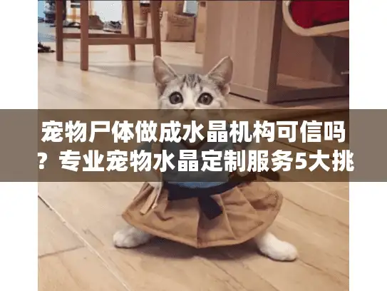 宠物尸体做成水晶机构可信吗？专业宠物水晶定制服务5大挑选标准