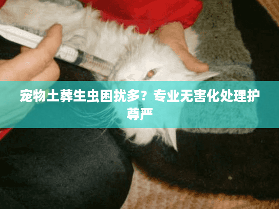 宠物土葬生虫困扰多？专业无害化处理护尊严