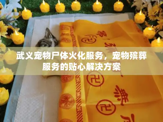 武义宠物尸体火化服务，宠物殡葬服务的贴心解决方案