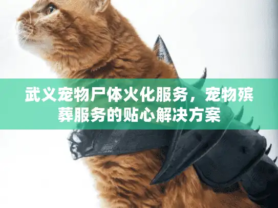 武义宠物尸体火化服务，宠物殡葬服务的贴心解决方案
