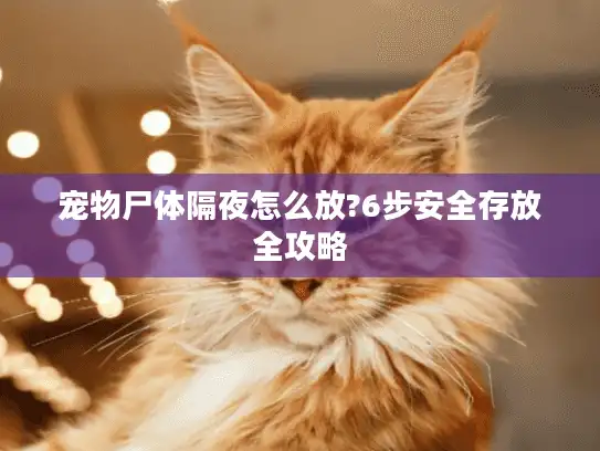 宠物尸体隔夜怎么放?6步安全存放全攻略