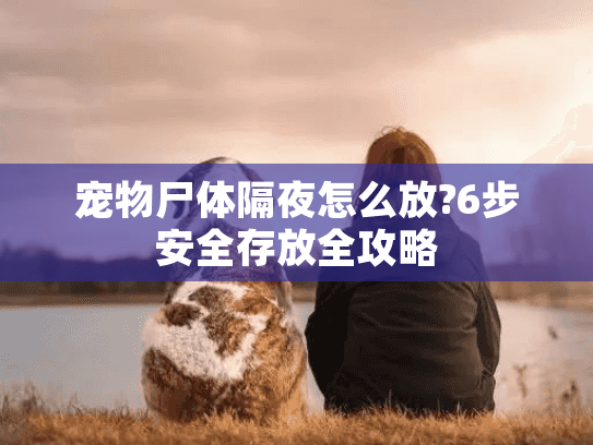 宠物尸体隔夜怎么放?6步安全存放全攻略