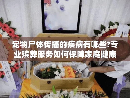 宠物尸体传播的疾病有哪些?专业殡葬服务如何保障家庭健康