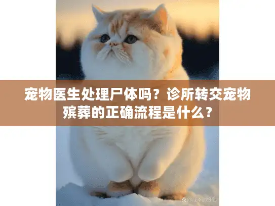 宠物医生处理尸体吗？诊所转交宠物殡葬的正确流程是什么？