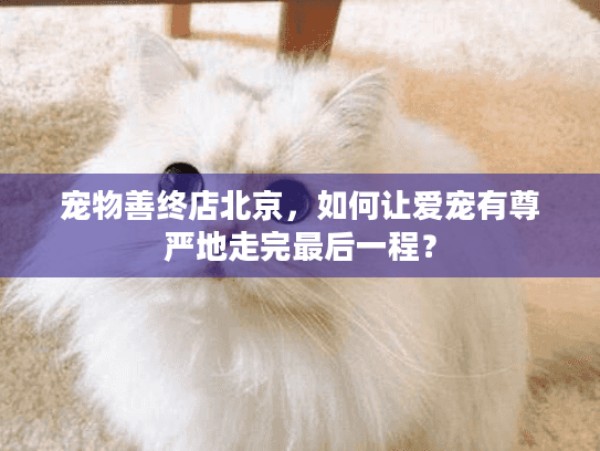 宠物善终店北京，如何让爱宠有尊严地走完最后一程？