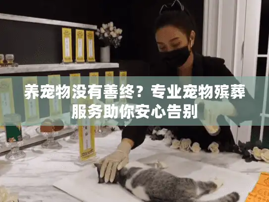 养宠物没有善终?专业宠物殡葬服务助你安心告别 养宠物没有善终?专业宠物殡葬服务助你安心告别