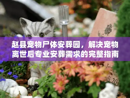 赵县宠物尸体安葬园，解决宠物离世后专业安葬需求的完整指南