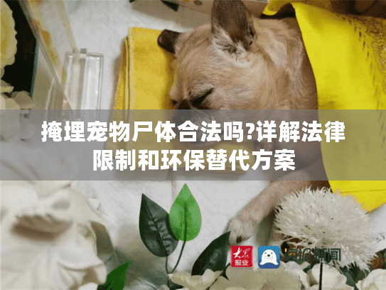 掩埋宠物尸体合法吗?详解法律限制和环保替代方案