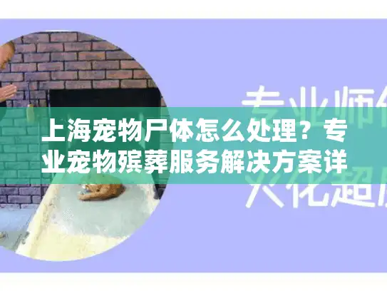上海宠物尸体怎么处理?专业宠物殡葬服务解决方案详解 上海宠物尸体怎么处理?专业宠物殡葬服务解决方案详解