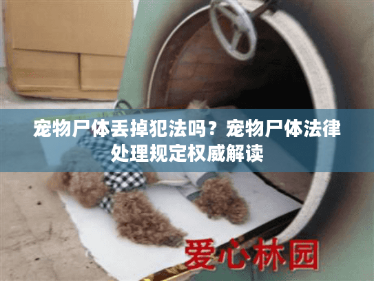宠物尸体丢掉犯法吗?宠物尸体法律处理规定权威解读 宠物尸体丢掉犯法吗?宠物尸体法律处理规定权威解读