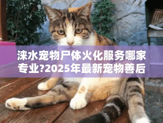 涞水宠物尸体火化服务哪家专业?2025年最新宠物善后指南