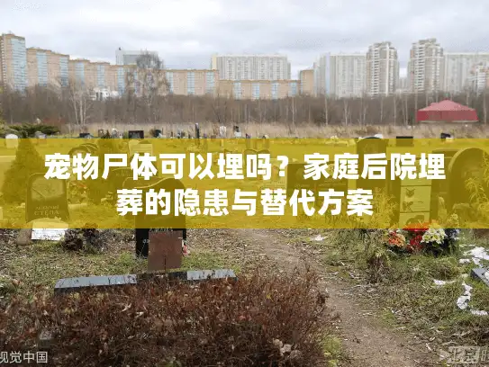宠物尸体可以埋吗？家庭后院埋葬的隐患与替代方案