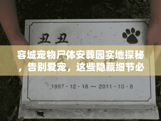 容城宠物尸体安葬园实地探秘,告别爱宠,这些隐藏细节必须看 容城宠物尸体安葬园实地探秘,告别爱宠,这些隐藏细节必须看