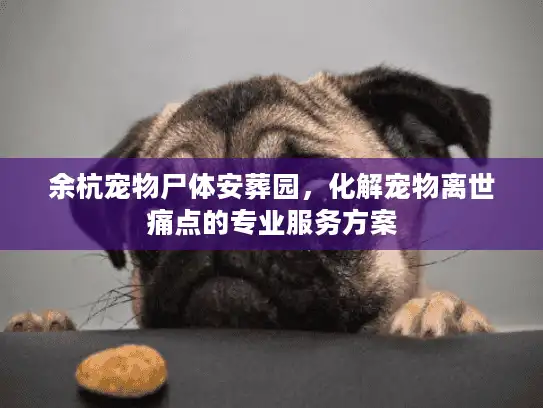 余杭宠物尸体安葬园,化解宠物离世痛点的专业服务方案 余杭宠物尸体安葬园,化解宠物离世痛点的专业服务方案