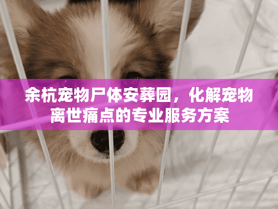 余杭宠物尸体安葬园,化解宠物离世痛点的专业服务方案 余杭宠物尸体安葬园,化解宠物离世痛点的专业服务方案