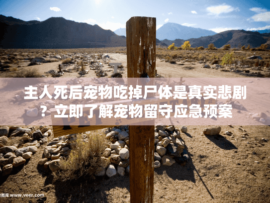 主人死后宠物吃掉尸体是真实悲剧？立即了解宠物留守应急预案