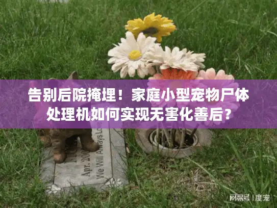 告别后院掩埋！家庭小型宠物尸体处理机如何实现无害化善后？
