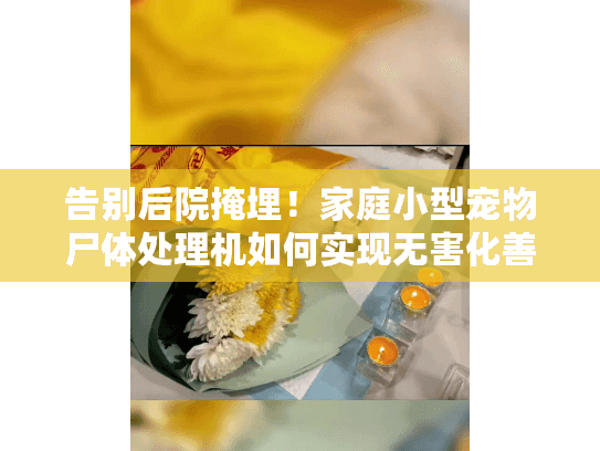 告别后院掩埋！家庭小型宠物尸体处理机如何实现无害化善后？