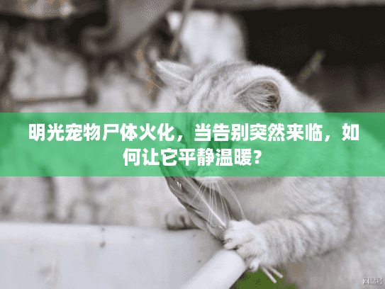 明光宠物尸体火化,当告别突然来临,如何让它平静温暖? 明光宠物尸体火化,当告别突然来临,如何让它平静温暖?