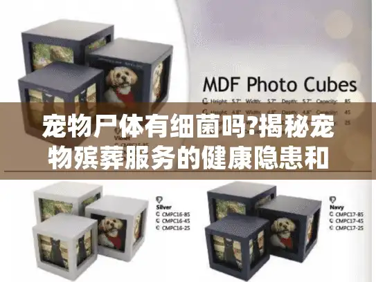 宠物尸体有细菌吗?揭秘宠物殡葬服务的健康隐患和正确处理方式