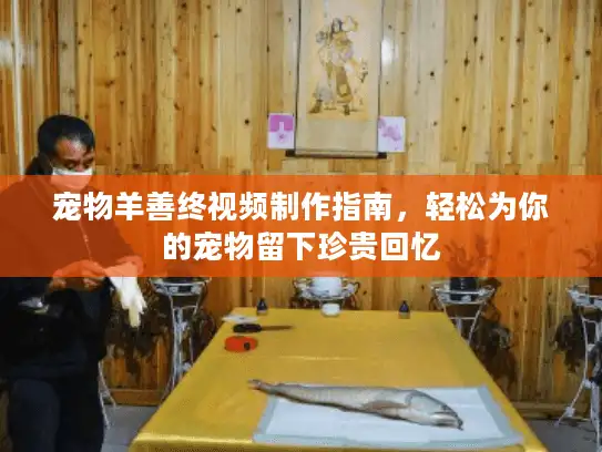 宠物羊善终视频制作指南，轻松为你的宠物留下珍贵回忆