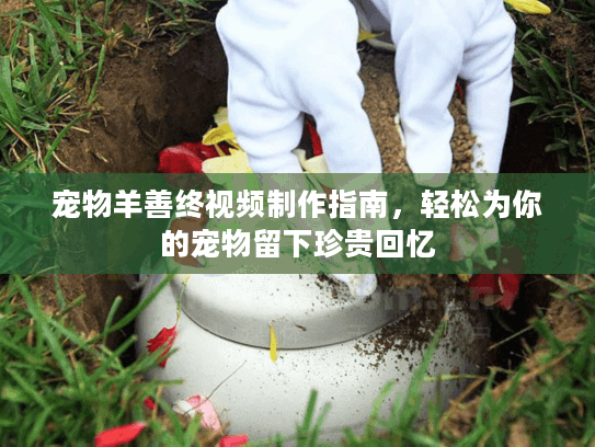 宠物羊善终视频制作指南，轻松为你的宠物留下珍贵回忆