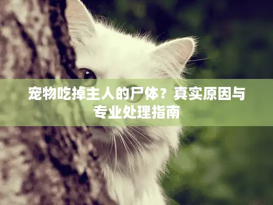 宠物吃掉主人的尸体?真实原因与专业处理指南 宠物吃掉主人的尸体?真实原因与专业处理指南