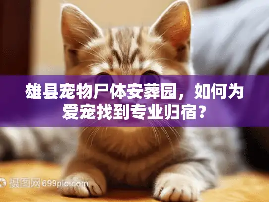 雄县宠物尸体安葬园，如何为爱宠找到专业归宿？