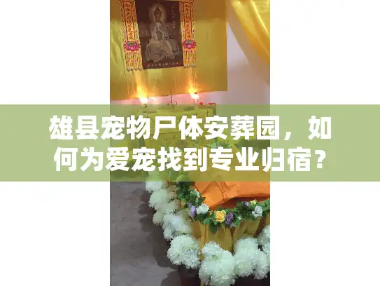 雄县宠物尸体安葬园，如何为爱宠找到专业归宿？