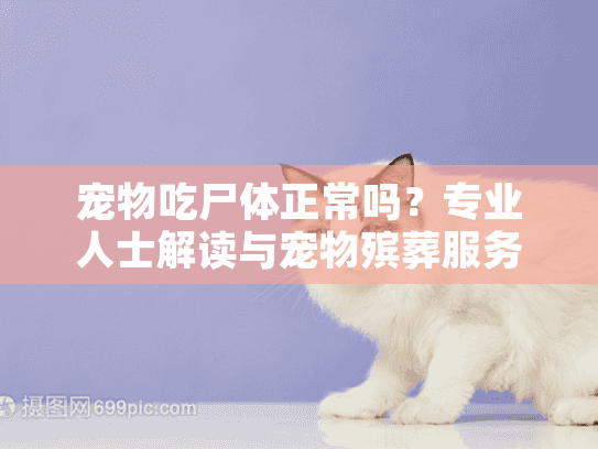 宠物吃尸体正常吗？专业人士解读与宠物殡葬服务全指南