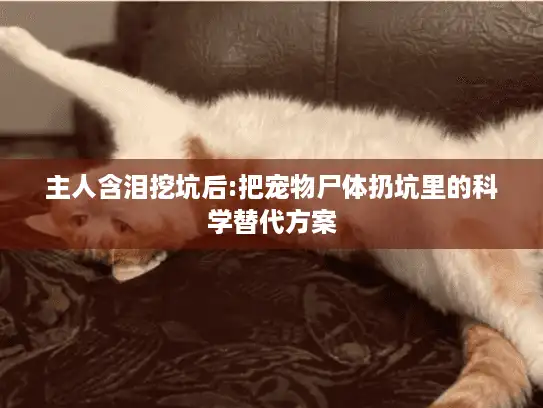 主人含泪挖坑后:把宠物尸体扔坑里的科学替代方案